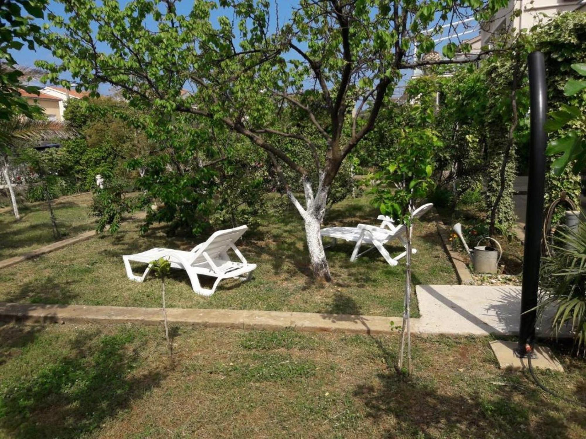 Apartments Amalia Задар Номер фото